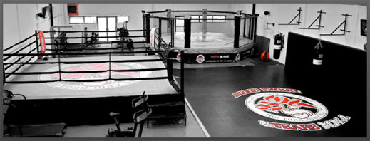 Mogul Fight Management Gym